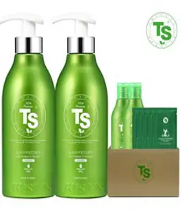 TS 뉴프리미엄 TS 샴푸 500g x 2p + 100g x 2p + TS 골프샴푸 6g x 5p, 1세트