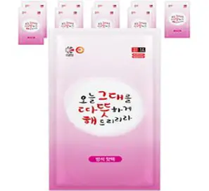 해피데이 방석 핫팩 400g, 10개