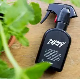 일본 러쉬 LUSH JAPAN dirty 더티 바디스프레이 200ml, 1개