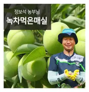 [산지직송] 전남 광양 황매실 (대/특/왕특) 5kg 10kg 매실청 매실액 담그기용 엑기스용, 깐매실