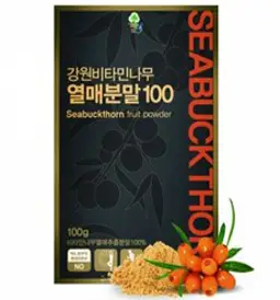 무농약 국내산 강원 비타민나무 열매 분말가루100 파우더, 100g, 1개