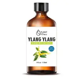 닥터월드 뷰티 아로마 에센셜오일 118ml 대용량, 뷰티 일랑일랑 에센셜오일 118ml