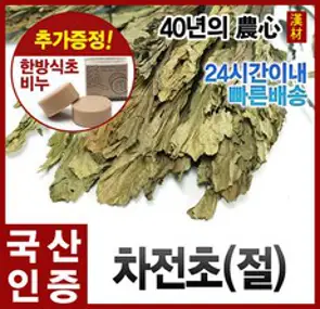 NK 질경이차 100티백/삼각티백차