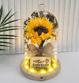 더라임코리아 킹스 해바라기 대형 유리돔 무드등 집들이 이사 개업 창업 승진 퇴사 생일 선물