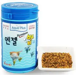 엔젤피쉬사료 고급먹이
