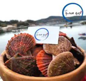 HAE GEUM KANG / 해금강수산 남해안 산지직송 국내산 통영 비단가리비 3kg, 추가안함, 1개
