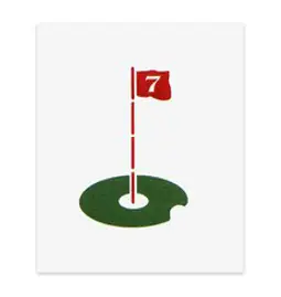 미스터골프 골프 타겟, 흰색