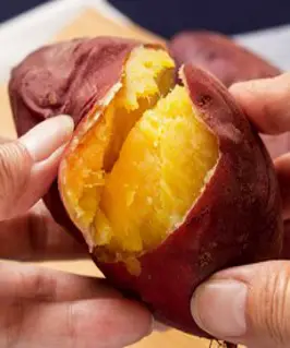 영암 세척 김의준 꿀고구마 베니하루카 무농약, 5kg(대)240g이상, 1개