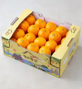 GAP 인증 해풍맞은 올레길 당도선별 하우스감귤, 1.5kg, 1개