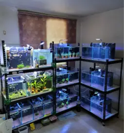 피피랙 3단 어항 선반 축양장 수족관 받침대 다이 철제 제작, 400 x 300 x 900 [3단], 없음, 블랙