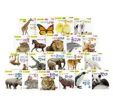 정브르 생생체험 자연관찰 시리즈 1~5권 세트 전 5권, 서울문화사