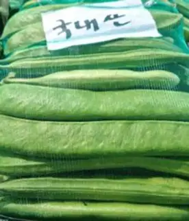 23년 수확 국내산 4kg 생작두콩 햇작두콩, 1개