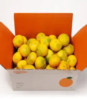 깨비농원 노지 감귤 4.5kg, 1box, 4.5kg 중과(L-2L)