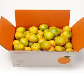 깨비농원 노지 감귤 4.5kg, 1box, 4.5kg 로얄과(S-M)