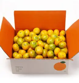 깨비농원 노지 감귤 9kg, 1box, 노지 감귤 9kg 소과(2S)