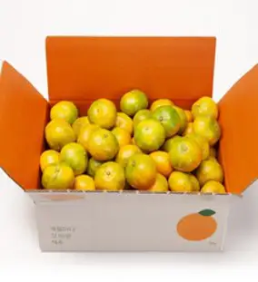 깨비농원 고당도 하우스감귤, 1box, 2.5kg(2S~M)