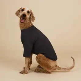 유앤펫 강아지 옷, 챠콜