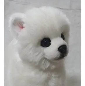 [실물같은 강아지 인형] 곰돌이컷 포메라니안