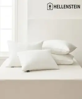 [헬렌스타인] 2개 SET 다운필 베개 50x70
