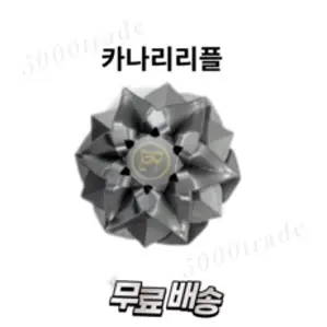 차량용 고급 방향제 송풍구 그레이 카나리리플 향, 1개