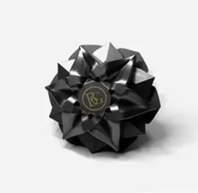 바흐가르트 차량용 방향제 꽃 석고방향제 레인포레스트 디퓨저, 블랙