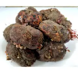 돌멍게 거제도해녀가 채취한 자연산 돌멍게 5~8미1kg, 1개