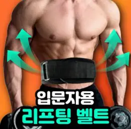하빈져 폼코어 헬스 벨트 벨크로 타입 남녀공용, 블랙, 270g