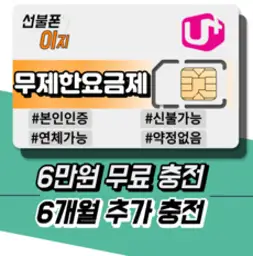 선불폰이지 선불유심 충전형요금제 3만원무료충전 알뜰유심 USIM 선불폰, LG: LTE 선불 기본 [월 4950원], 1개