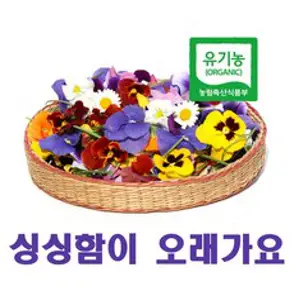 국내산 식용화(혼합), 50개입, 1개