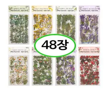 숲의정원 복고풍 식물과 꽃 압화 클로바 빈티지 다꾸 PET 조각 스티커 8종, 8.길리아의 만남