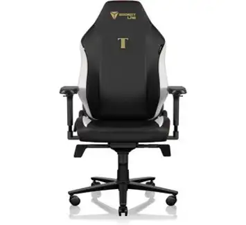 Secretlab TITAN Evo 클래식 게임 의자(R 사이즈) PU 가죽 Secret Lab 책상 의자 사무실 게임 인체 공학 PC 요추 지지대 4D 팔걸이 게임용