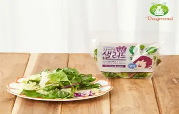 데이밀 자연을담은 샐러드 실속A 100g x 10팩 국내산 야채믹스, 10개, 흑임자드레싱 10개